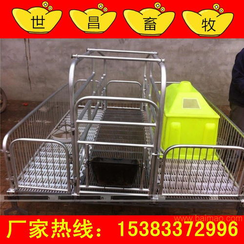 養(yǎng)豬必備設(shè)備 弘昌廠家母豬雙體產(chǎn)床讓利銷售，助力高效養(yǎng)殖