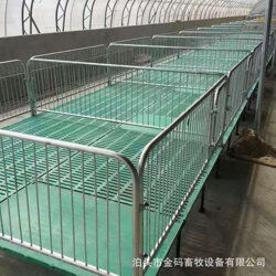 金碼畜牧設(shè)備 高效豬用保育床與育肥欄在現(xiàn)代化養(yǎng)豬業(yè)的應(yīng)用