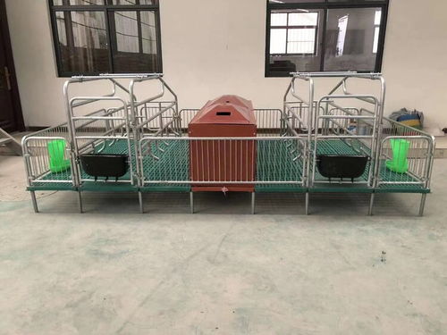 定做母豬產(chǎn)床 豬用復(fù)合板單雙體分娩床與保育床兩用定位欄的優(yōu)勢與應(yīng)用