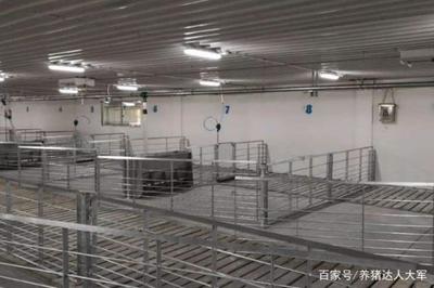 養(yǎng)豬場水泡糞模式 四大關鍵養(yǎng)豬設備注意事項