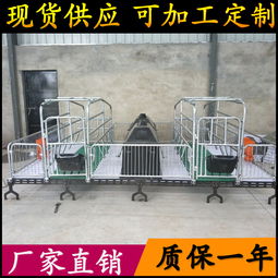 養(yǎng)豬設備升級 從母豬產床到全復合板雙體產床，助力高效養(yǎng)殖