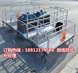 養(yǎng)豬設(shè)備專業(yè)制造商 定西豬產(chǎn)床批發(fā)與雙體豬產(chǎn)床優(yōu)勢解析
